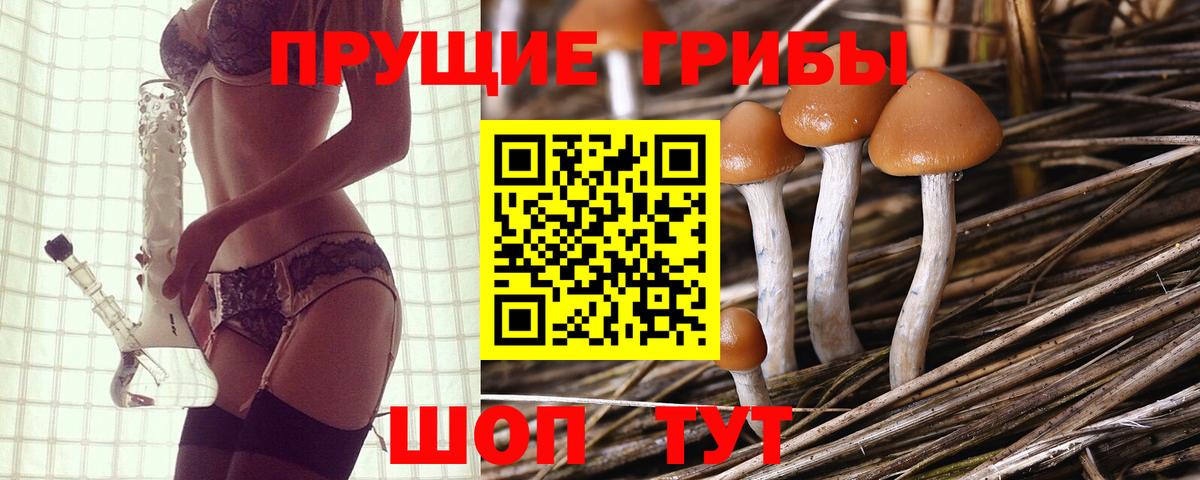 Галлюциногенные грибы ЛСД  Галлюциногенные грибы мицелий  Светлоград  Вход с VPN 